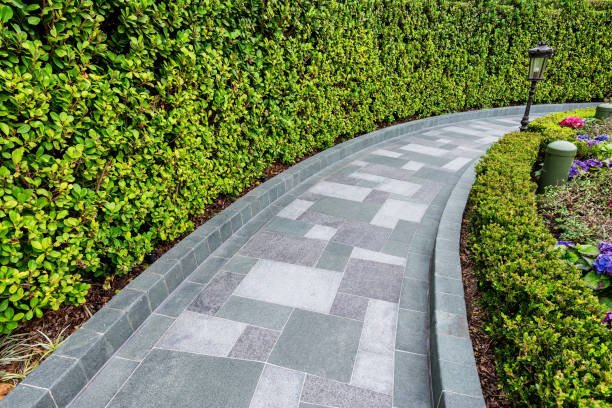 Royalty with Expert Decorative Concrete in West Palm Beach